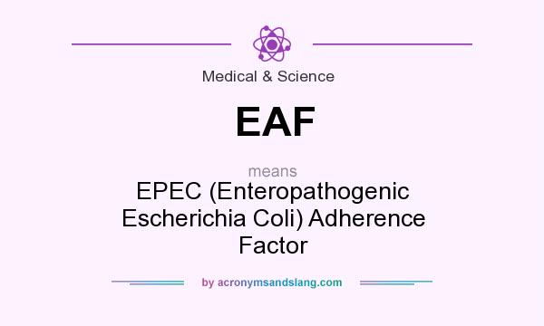 What does EAF mean? It stands for EPEC (Enteropathogenic Escherichia Coli) Adherence Factor