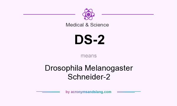 What does DS-2 mean? It stands for Drosophila Melanogaster Schneider-2