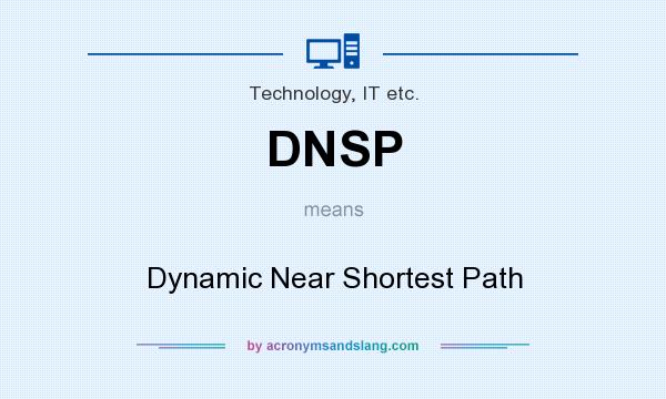 What does DNSP mean? It stands for Dynamic Near Shortest Path