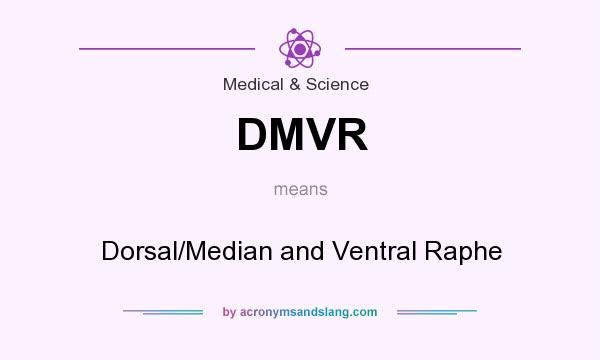 What does DMVR mean? It stands for Dorsal/Median and Ventral Raphe