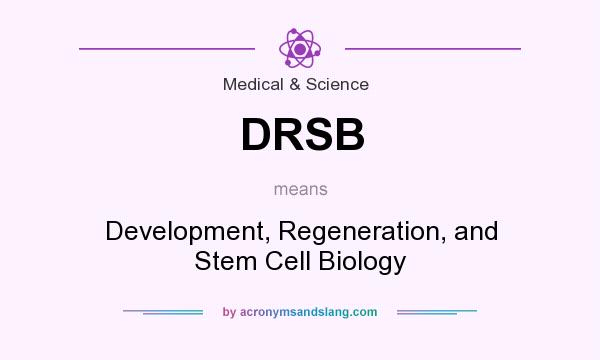 What does DRSB mean? It stands for Development, Regeneration, and Stem Cell Biology