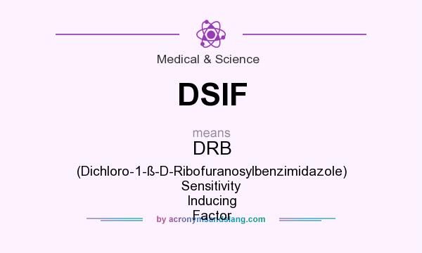 What does DSIF mean? It stands for DRB (Dichloro-1-ß-D-Ribofuranosylbenzimidazole) Sensitivity Inducing Factor