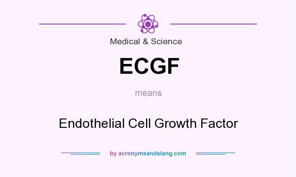What does ECGF mean? It stands for Endothelial Cell Growth Factor