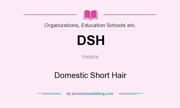 What does DSH mean? It stands for Domestic Short Hair