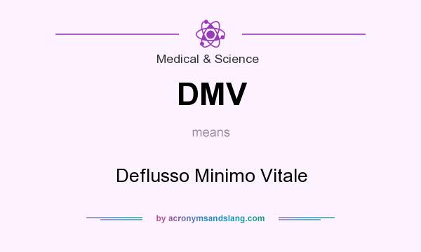 What does DMV mean? It stands for Deflusso Minimo Vitale