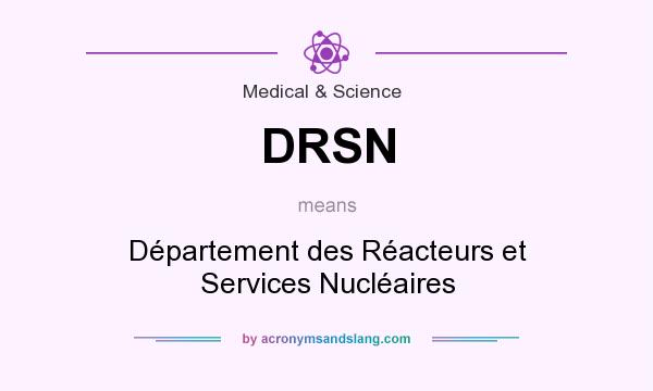What does DRSN mean? It stands for Département des Réacteurs et Services Nucléaires