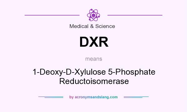 What does DXR mean? It stands for 1-Deoxy-D-Xylulose 5-Phosphate Reductoisomerase