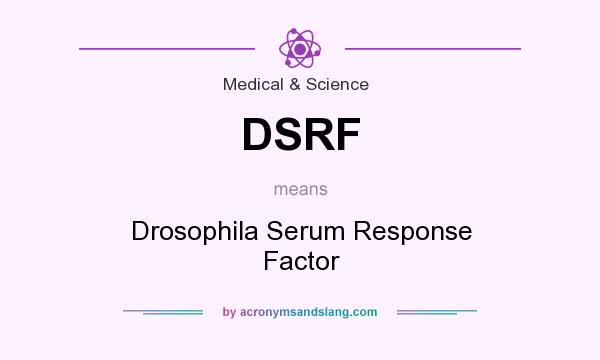 What does DSRF mean? It stands for Drosophila Serum Response Factor