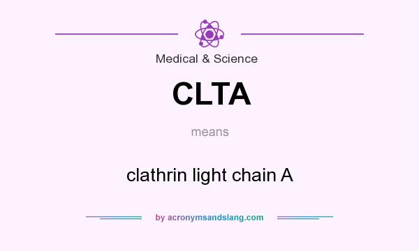 What does CLTA mean? It stands for clathrin light chain A