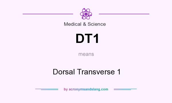 What does DT1 mean? It stands for Dorsal Transverse 1