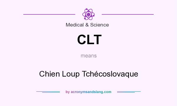 What does CLT mean? It stands for Chien Loup Tchécoslovaque