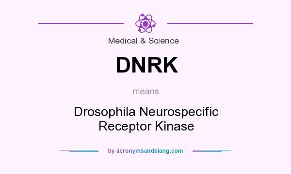 What does DNRK mean? It stands for Drosophila Neurospecific Receptor Kinase