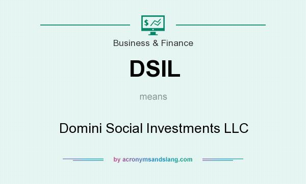 What does DSIL mean? It stands for Domini Social Investments LLC