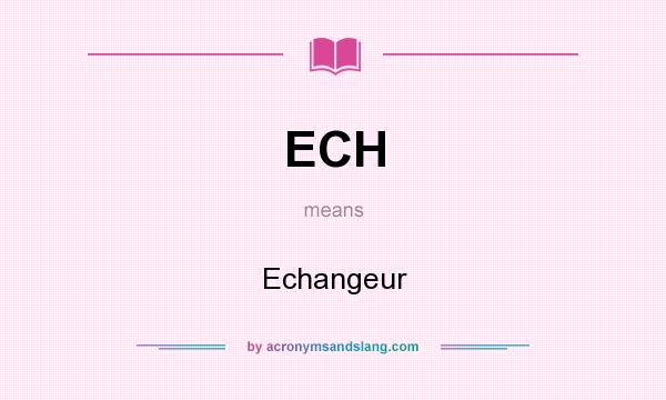 What does ECH mean? It stands for Echangeur