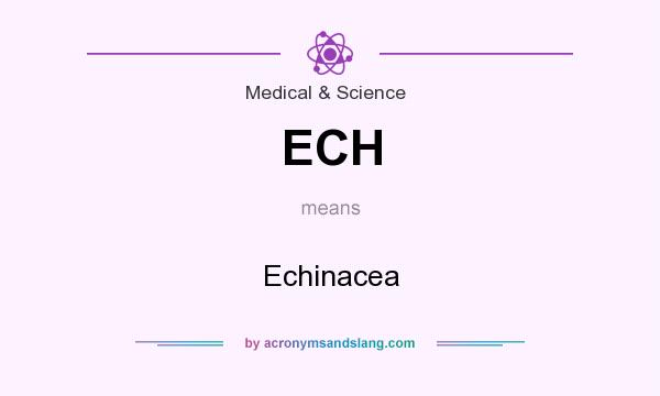 What does ECH mean? It stands for Echinacea