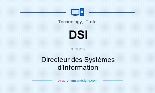 What does DSI mean? It stands for Directeur des Systèmes d`Information