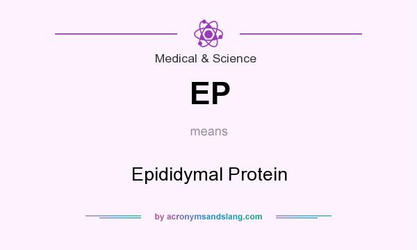 What does EP mean? It stands for Epididymal Protein