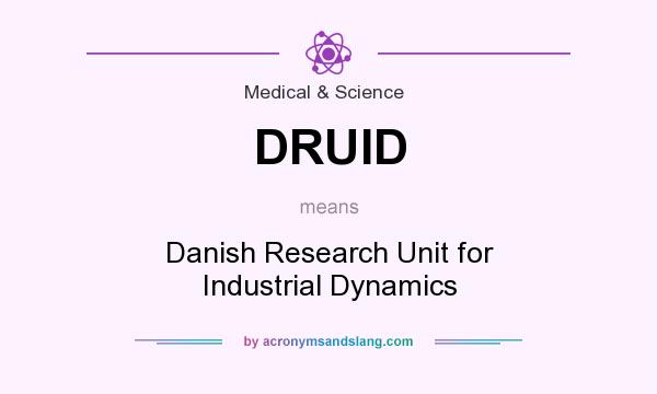 What does DRUID mean? It stands for Danish Research Unit for Industrial Dynamics