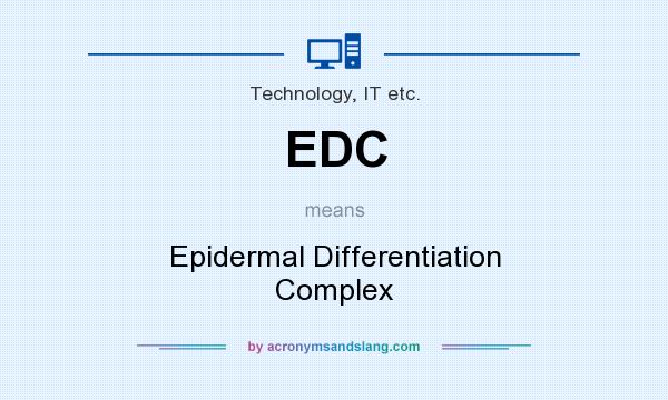 What does EDC mean? It stands for Epidermal Differentiation Complex
