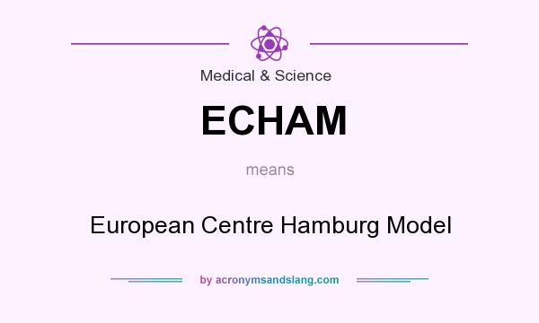 What does ECHAM mean? It stands for European Centre Hamburg Model