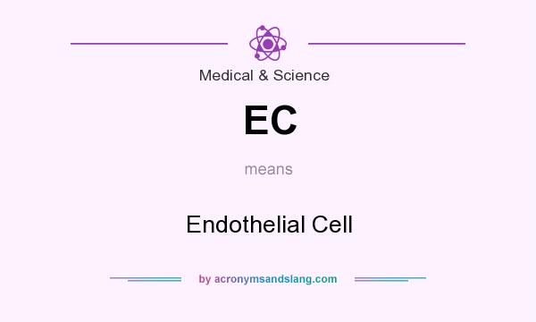 What does EC mean? It stands for Endothelial Cell