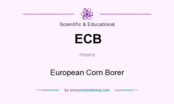 What does ECB mean? It stands for European Corn Borer