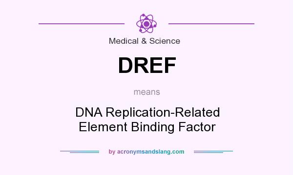 What does DREF mean? It stands for DNA Replication-Related Element Binding Factor