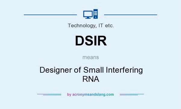 What does DSIR mean? It stands for Designer of Small Interfering RNA