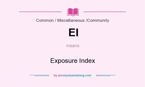 What does EI mean? It stands for Exposure Index