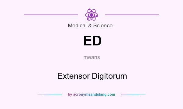 What does ED mean? It stands for Extensor Digitorum