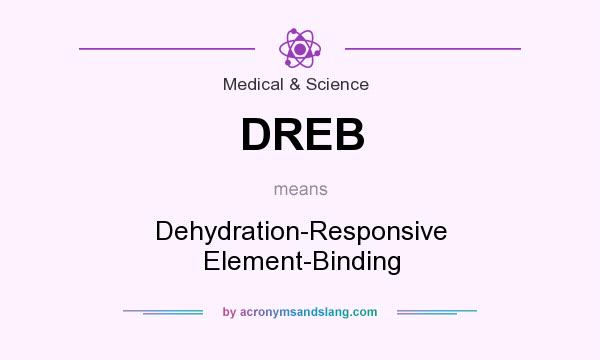 What does DREB mean? It stands for Dehydration-Responsive Element-Binding
