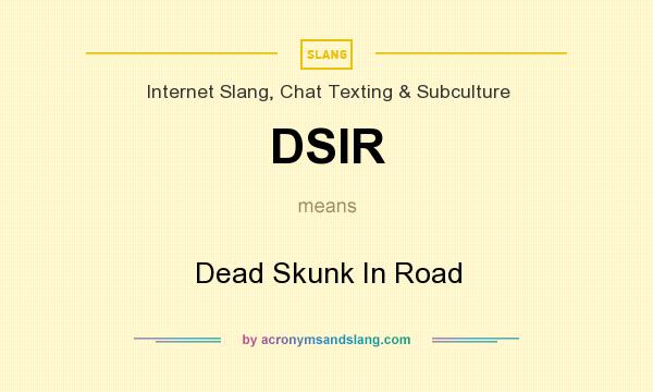 What does DSIR mean? It stands for Dead Skunk In Road