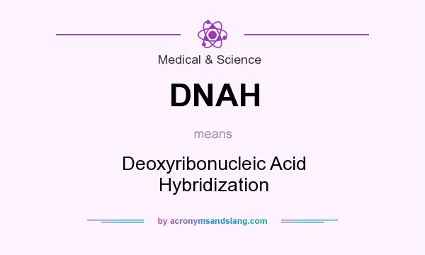 What does DNAH mean? It stands for Deoxyribonucleic Acid Hybridization
