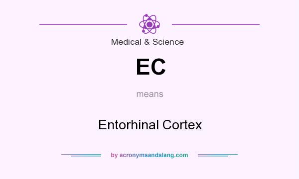 What does EC mean? It stands for Entorhinal Cortex