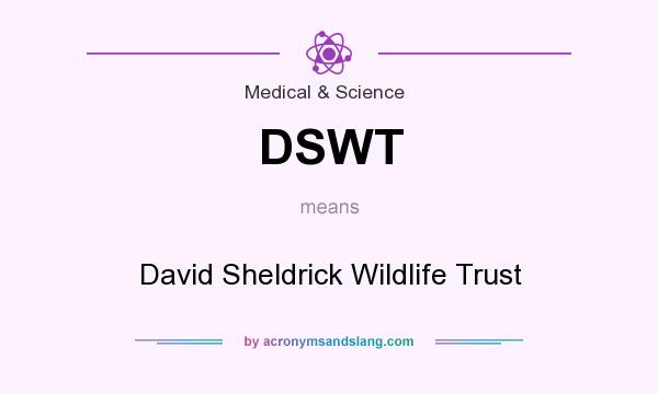 What does DSWT mean? It stands for David Sheldrick Wildlife Trust