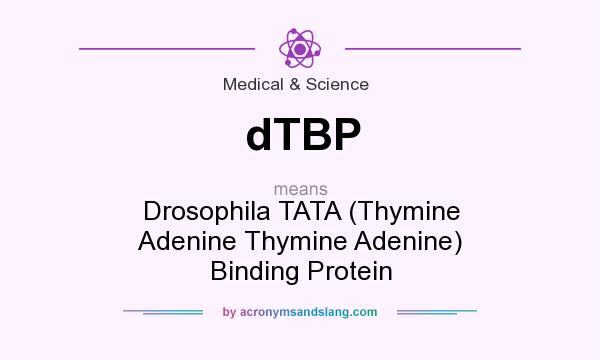 What does dTBP mean? It stands for Drosophila TATA (Thymine Adenine Thymine Adenine) Binding Protein