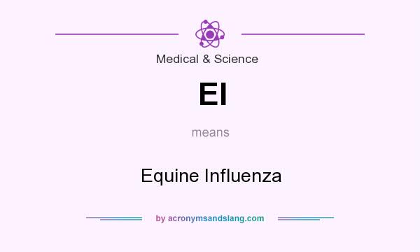 What does EI mean? It stands for Equine Influenza