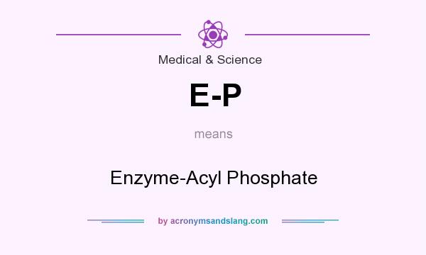 What does E-P mean? It stands for Enzyme-Acyl Phosphate