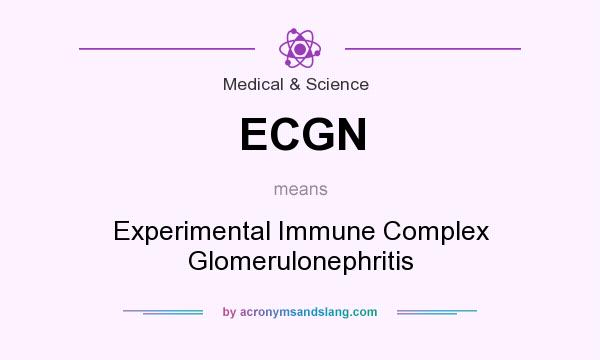What does ECGN mean? It stands for Experimental Immune Complex Glomerulonephritis