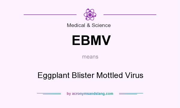 What does EBMV mean? It stands for Eggplant Blister Mottled Virus