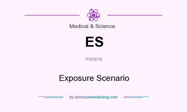 What does ES mean? It stands for Exposure Scenario