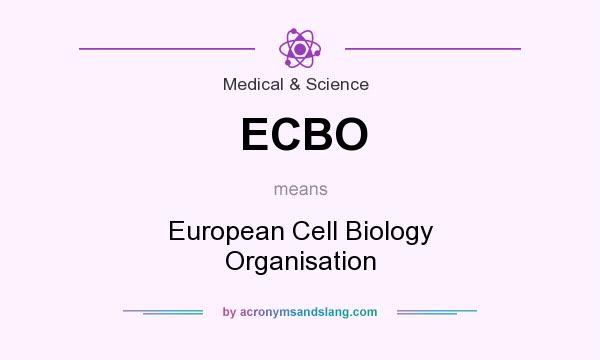 What does ECBO mean? It stands for European Cell Biology Organisation