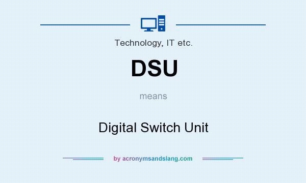 What does DSU mean? It stands for Digital Switch Unit