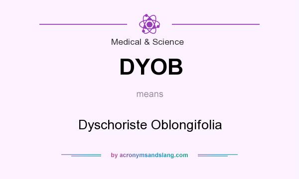 What does DYOB mean? It stands for Dyschoriste Oblongifolia