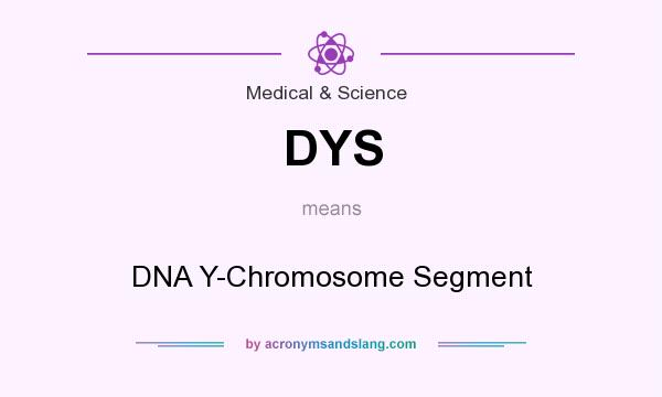 What does DYS mean? It stands for DNA Y-Chromosome Segment