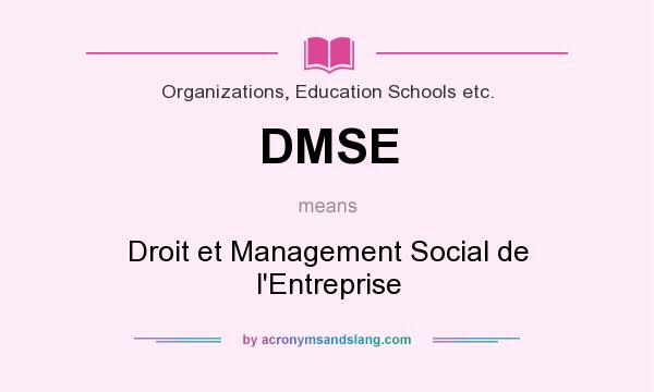 What does DMSE mean? It stands for Droit et Management Social de l`Entreprise