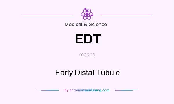 What does EDT mean? It stands for Early Distal Tubule