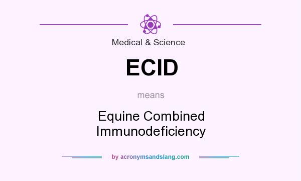 What does ECID mean? It stands for Equine Combined Immunodeficiency
