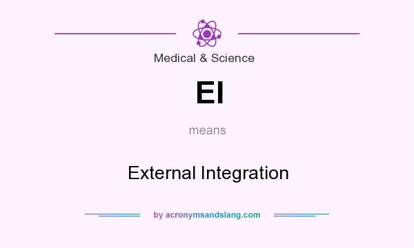 What does EI mean? It stands for External Integration