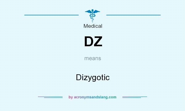 What does DZ mean? It stands for Dizygotic
